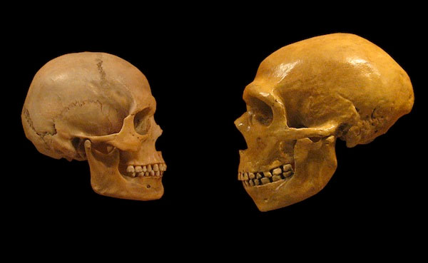 Binlerce Yıl Önce Yaşayan Akrabalarımız Neandertaller